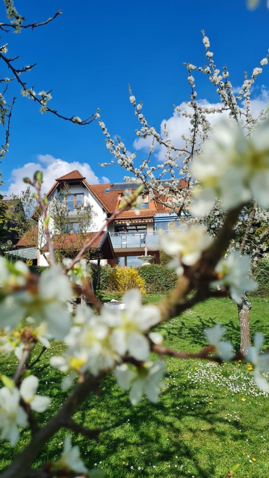 Apartment Höchemer Bad Bocklet